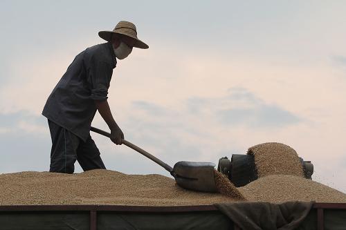 麦购.jpg 麦购.jpg